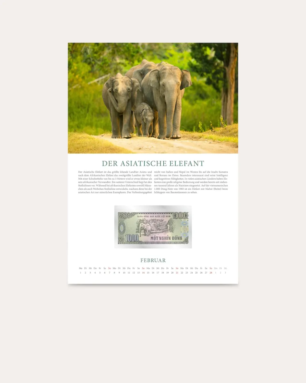 Banknotenkalender Tiere 2027