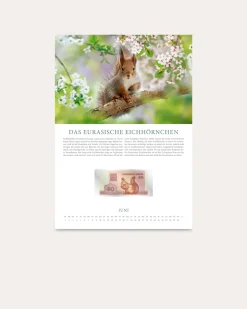 Banknotenkalender Tiere 2027