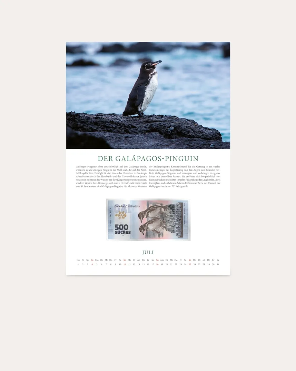 Banknotenkalender Tiere 2027