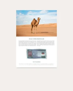 Banknotenkalender Tiere 2027