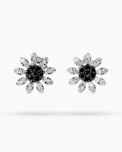 Brillant-Ohrstecker 0,50 ct