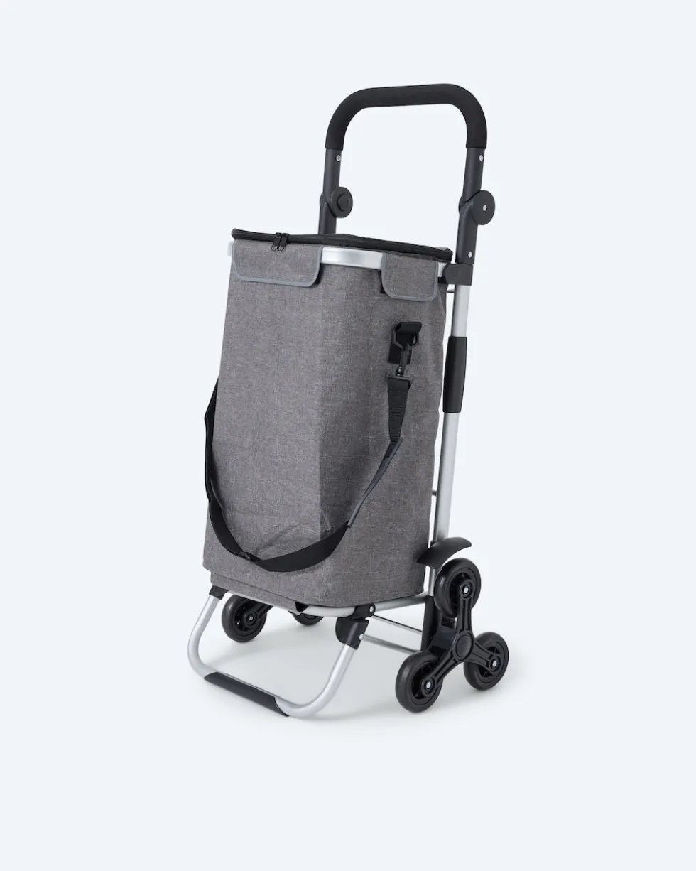 Einkaufstrolley