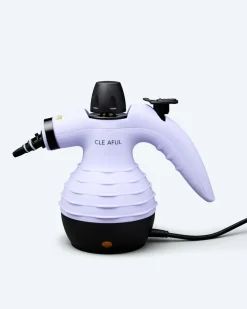 Handdampfreiniger mit Zubehör