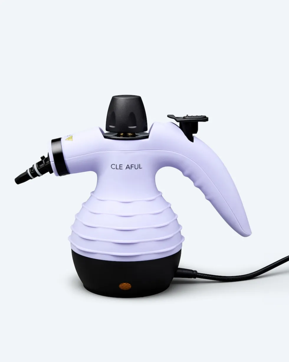 Handdampfreiniger mit Zubehör