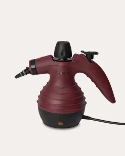 Handdampfreiniger mit Zubehör