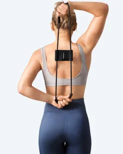 3-in-1 Trainer