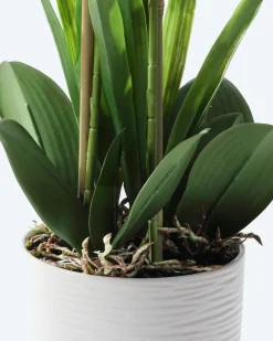 Kunst-Orchidee im Keramiktopf