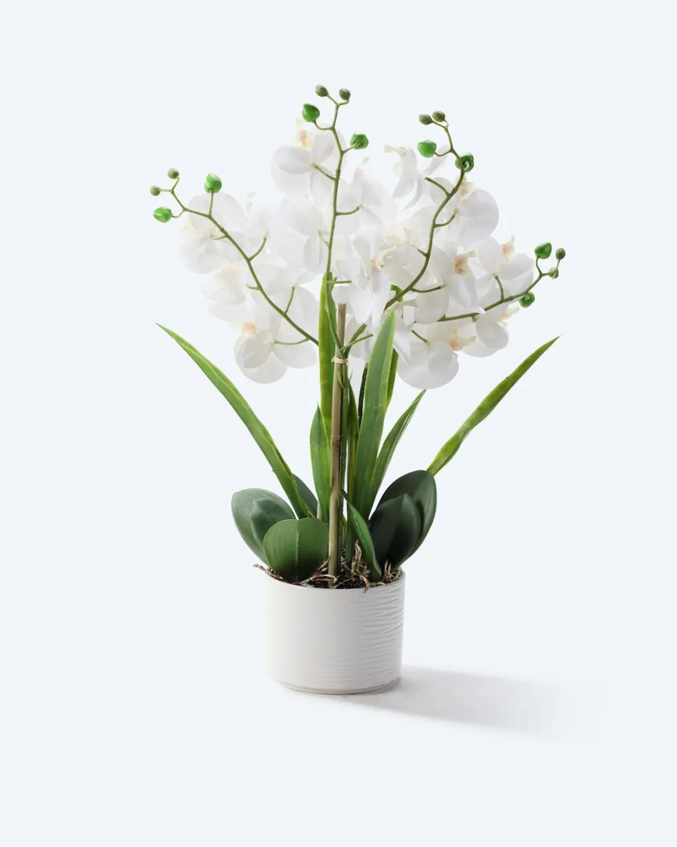 Kunst-Orchidee im Keramiktopf