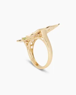 Ring Multi-Edelstein
